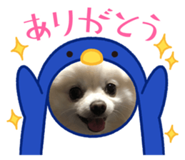 465931072