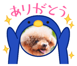 465931198