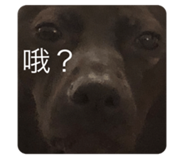 465945637