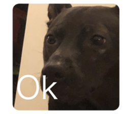 465945646