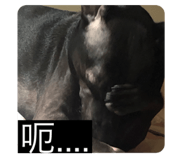 465945649