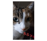 465953249