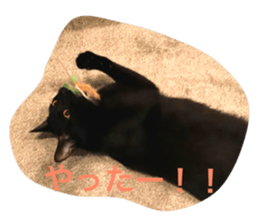 46612556