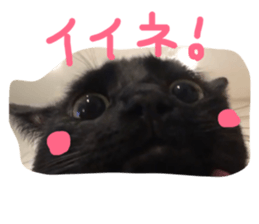 46612557