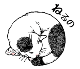 466165