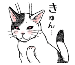 466168