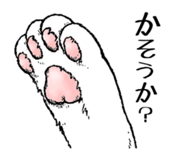 466169