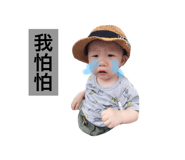 46635380