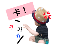 46635393