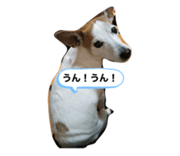 466395704