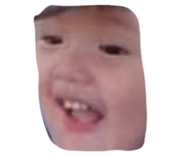 466399658