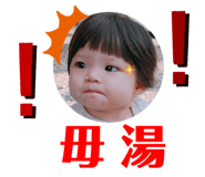 466404990