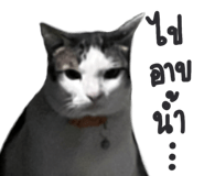 466406998