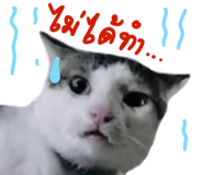 466406999