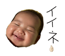 466440693