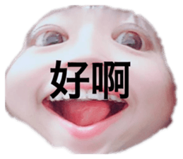 466445444