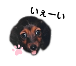 466626890