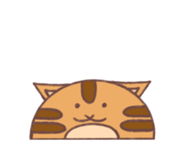466639496