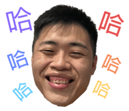 466641694