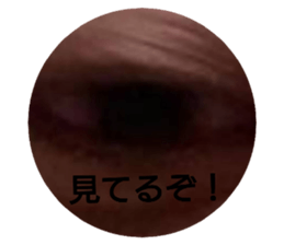 466649111