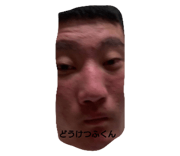 466649114