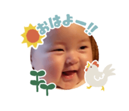 466650597