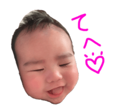 466651338
