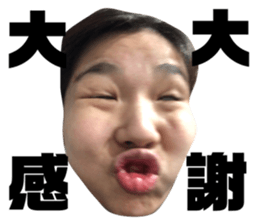 466662329