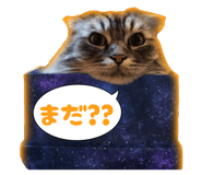 466696456