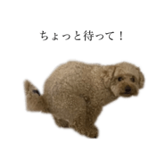 466718425