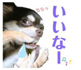 466737673