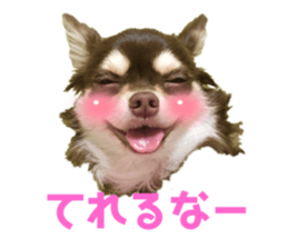 466737688