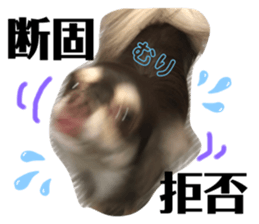 466737693