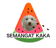 466742257