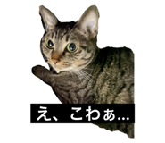 466998416