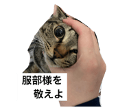 466998427