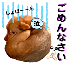 467168869