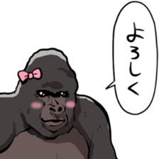 467206315