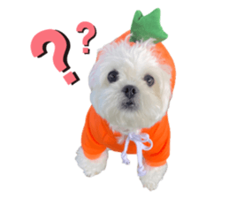 467263013