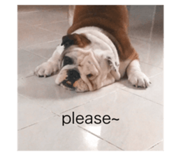 467264070