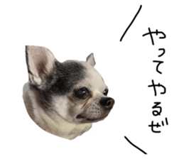 467369766