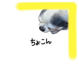467369786