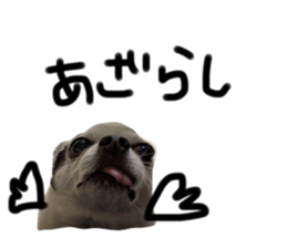 467369788