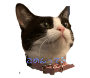 467448387