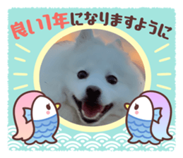 467491995