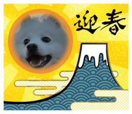 467491997