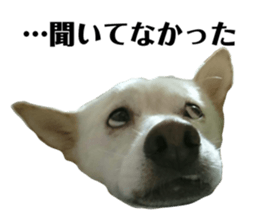 467509246