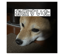 467520447