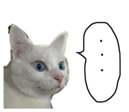 467595563