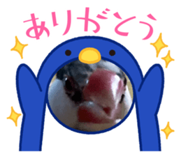 467626576